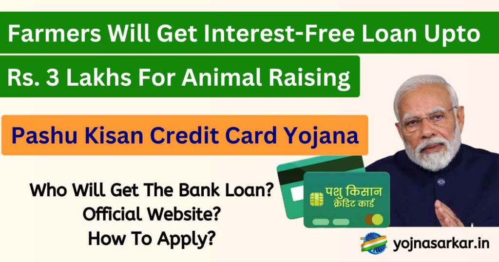 Pashu Kisan Credit Card Yojana 2024 | Pashu Kisan Credit Card Yojana Apply Online: Farmers Will Get A Loan Of Rs. 3 Lakh For Animal Raising